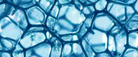 Silicones